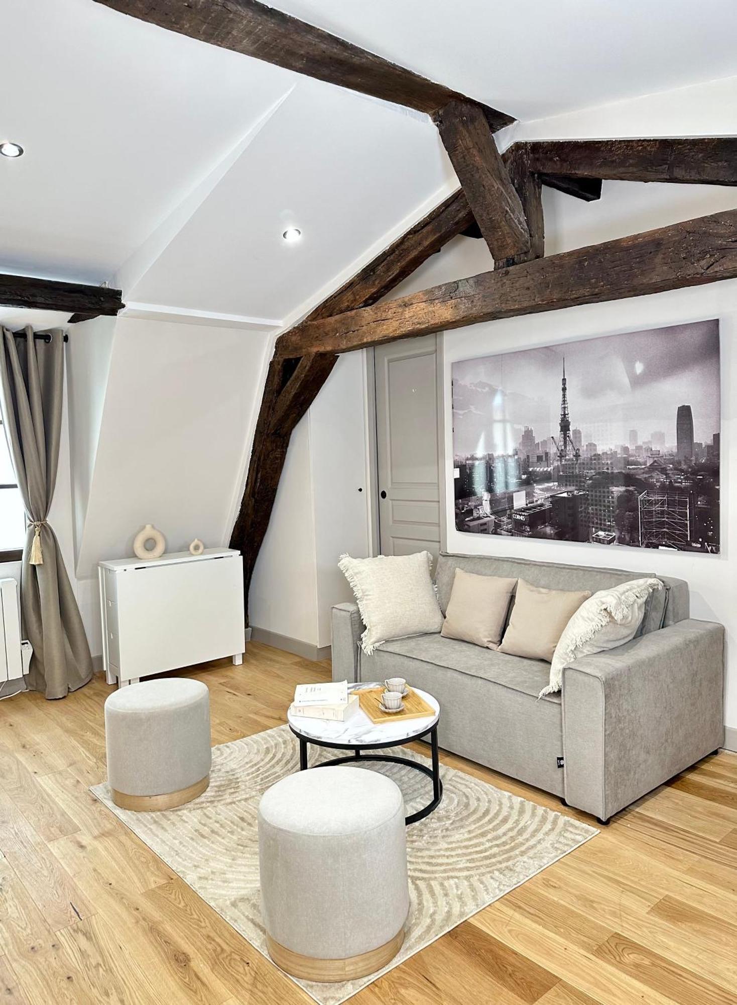 Le Marais' Finest Luxurious Appartement